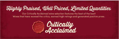 Critically Acclaimed Side Panel 36' x 12"