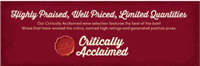 Critically Acclaimed Side Panel 36' x 12"