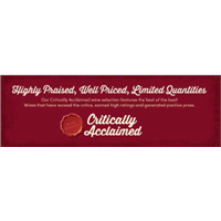 Critically Acclaimed Side Panel 36' x 12"